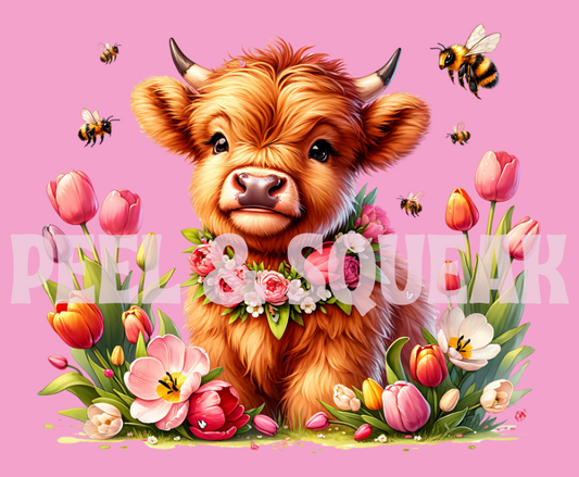 Tulip Coo #3