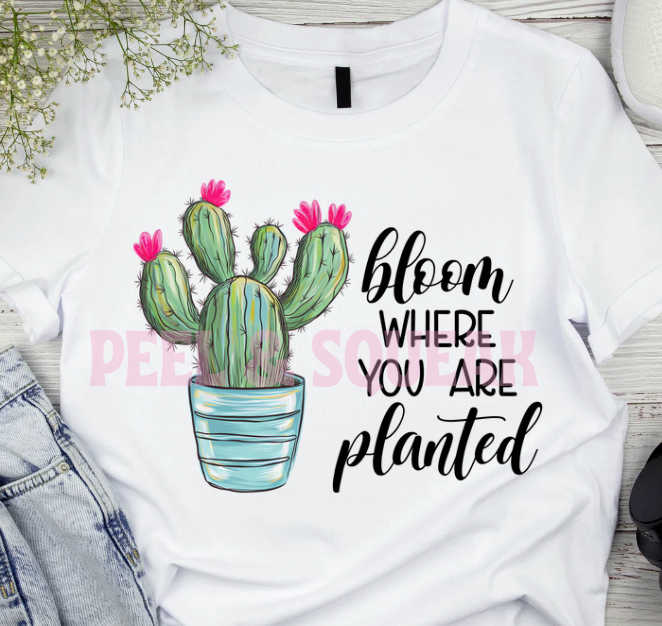 DTF - Bloom Where You Are Planted