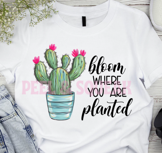 DTF - Bloom Where You Are Planted