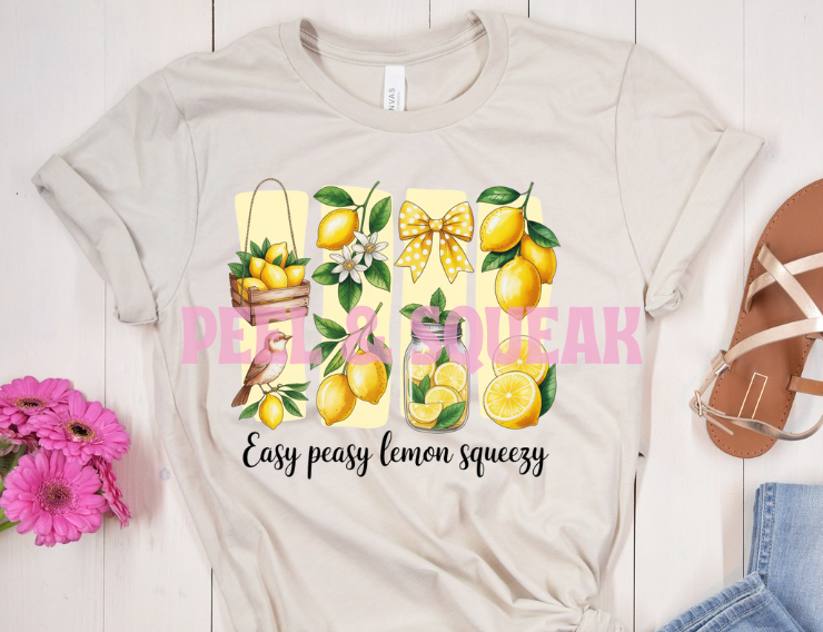 DTF - Easy Peasy Lemon Squeeze (4 Frame)