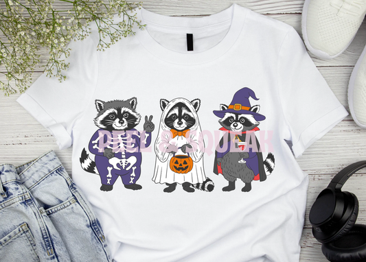 DTF - Raccoon Trio